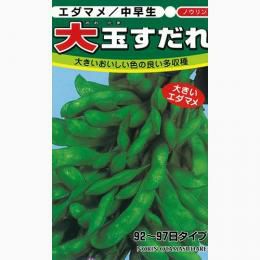 送料無料】【 令和6年産 】【 新米 】 愛知県産 あいちのかおり 玄米 2 