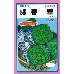 春菊 種 【 さとにしき 】 1L ( 春菊の種 ) | 農業屋.com