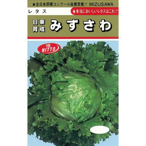 レタス 種 【 みずさわ 】 小袋（1．7ml） ( レタスの種 ) | 農業屋.com