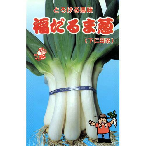 ネギ 種 【 福だるま葱 】 種子 小袋（約8ml） | 農業屋.com