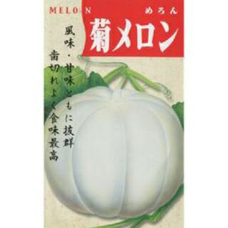 メロン 種 【大型菊メロン】 1.2ml | 農業屋.com