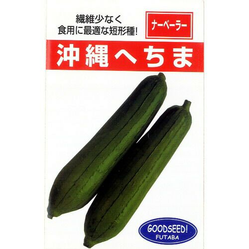 玉ねぎ苗 【予約】 【 早生 赤玉ねぎ レッドグラマー 】 約50本