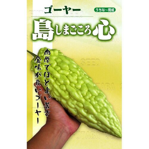 ゴーヤ 種 【島心】 5ml | 農業屋.com