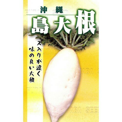 食品 中島様専用 大根 15kg