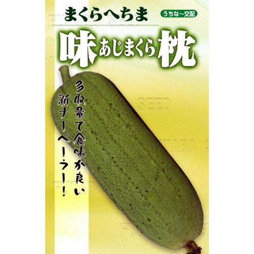 たまねぎ 種 【 もみじ3号 】 20ml | 農業屋.com