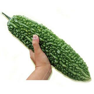 ゴーヤ 種 【沖縄願寿ゴーヤー】 1dl | 農業屋.com