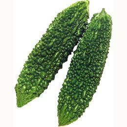 ゴーヤ 種 【あばしゴーヤ】 1dl | 農業屋.com