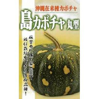 かぼちゃ 種 【沖縄島かぼちゃ丸型】 20ml | 農業屋.com