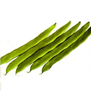 いんげん 種 【沖縄島インゲン】 1L | 農業屋.com