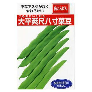 つるありいんげん 種 【沖縄島インゲン 大平莢尺八寸菜豆（つるあり