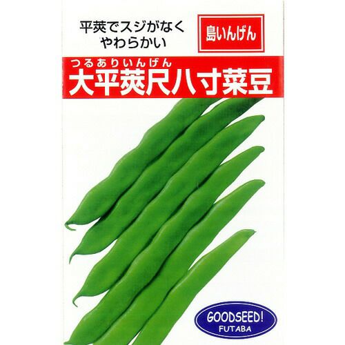 つるありいんげん 種 【大平莢尺八寸菜豆】 20ml | 農業屋.com