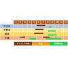  雑豆 種 【 四角豆 うりずん 】 種子 小袋（約1dl）