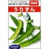 雑豆 種 【 四角豆 うりずん 】 種子 小袋（約20ml）