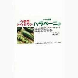 ブロッコリー 種 【 BL－456 】 ペレット5千粒 ( ブロッコリーの