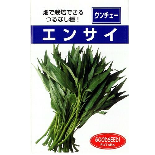 つるなしエンサイ (空芯菜) 】 種子 小袋（約20ml） | 農業屋.com