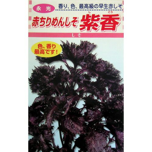 唐辛子 種 【朝鮮なんばん (激辛)】 5ml | 農業屋.com