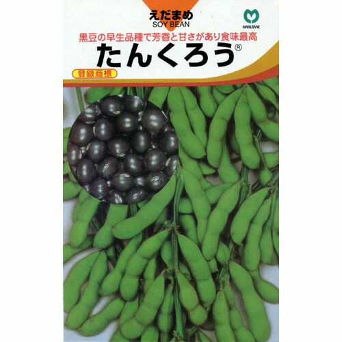 送料無料】【 令和6年産 】【 新米 】 愛知県産 あいちのかおり 玄米 2 