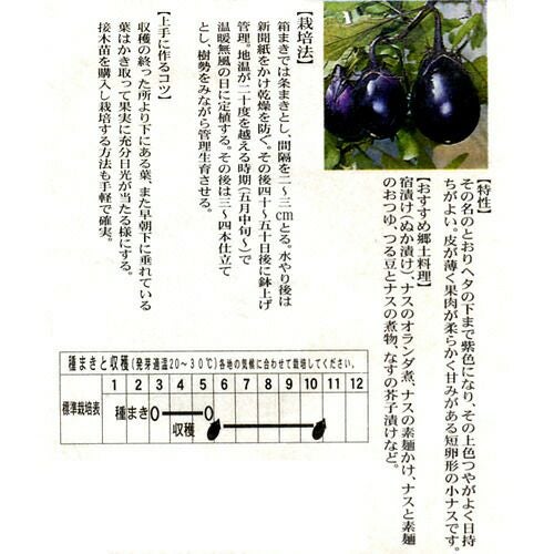なす 種 【ヘタ紫茄子】 2ml | 農業屋.com