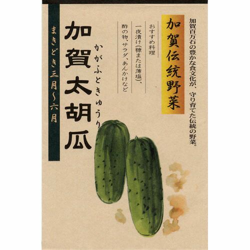 きゅうり 種 【加賀太胡瓜】 2ml | 農業屋.com
