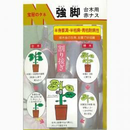 強脚 (ナス用台木の種) 4ml | 農業屋.com