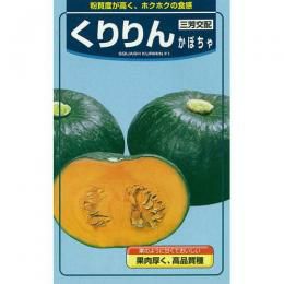かぼちゃ 種 【くりりん】 200粒 | 農業屋.com