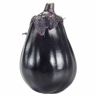 ナス 種 【 絹皮水茄子 】 小袋（0．5ml） ( ナスの種 ) | 農業屋.com