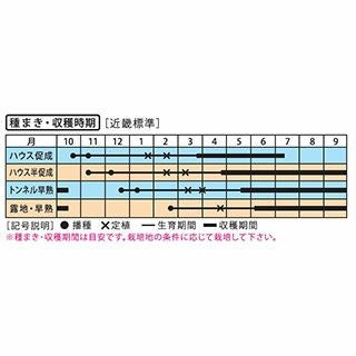 なす 種 【絹皮水茄子】
