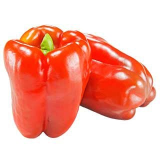  ピーマン 種 【赤ジャンボピーマンクリムソンルビー】 20粒