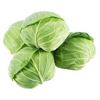  キャベツ 種 【 YRかぎろひ 】 種子 小袋（約１ｍｌ)