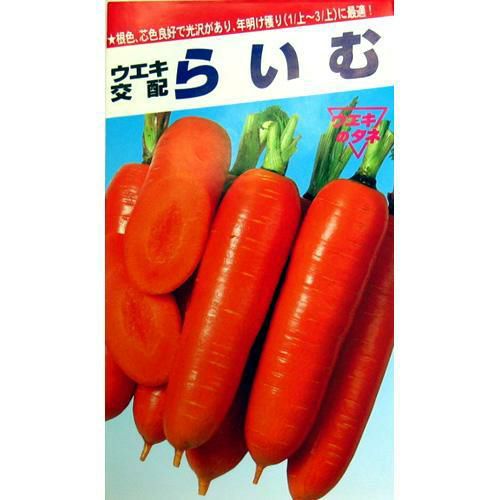 にんじん 種 【 らいむ五寸 】 種子 コート1万粒 | 農業屋.com
