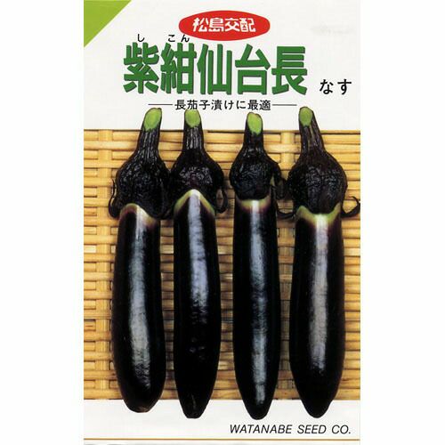 なす 種 【紫紺仙台長なす】 0.4ml | 農業屋.com