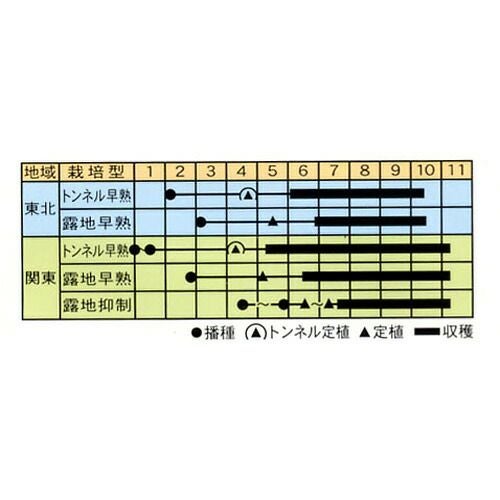 なす 種 【紫紺仙台長なす】 0.4ml | 農業屋.com