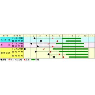 なす 種 【真仙中長】 約0.6ml | 農業屋.com