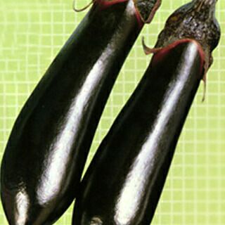 なす 種 【真仙中長二号】 20ml | 農業屋.com