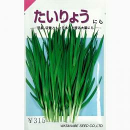 ニラの苗 128穴×15パレット分 128穴と200穴の育苗トレーの使い分け | ブログ版