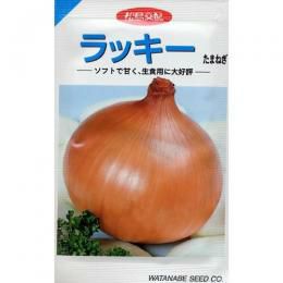 たまねぎ種ラッキー　1dﾘｯﾄﾙ たまねぎ 種 【ラッキー】 1dl | 農業屋.com