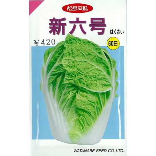 白菜 種 【 新六号 】 1.4ml ( 白菜の種 ) | 農業屋.com