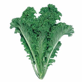 令和7年度】【送料無料】 コシヒカリ玄米 30kg 三重県産 | 農業屋.com