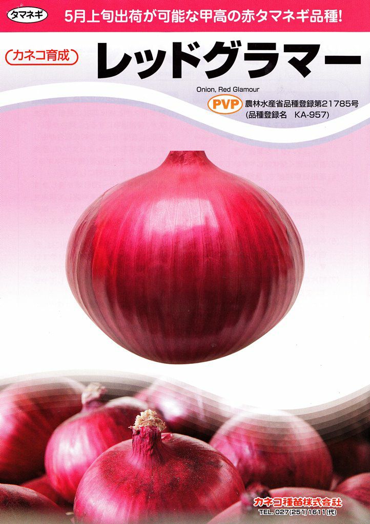 玉ねぎ苗⭕️レッドグラマー２５００本⭕️【野菜苗】【玉葱苗】 000000009536-01.jpg?size=l&w=