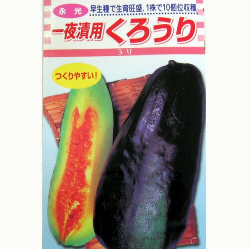 果樹苗 ナツメ 【 ナツメ 1年生苗 】 | 農業屋.com