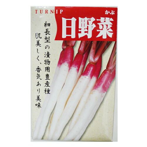 野菜の種　仮 スーパーウェルカム (アスパラガスの種) 約22ml ( 野菜の種 ) : 菜園