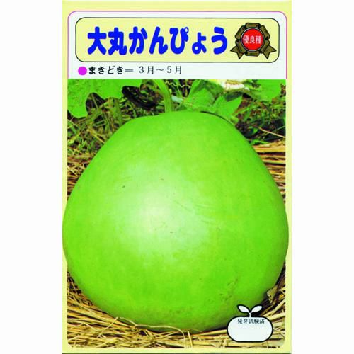 さつまいも苗 【 あまはづき 】10本 【予約販売 芋づる さつまいも 苗