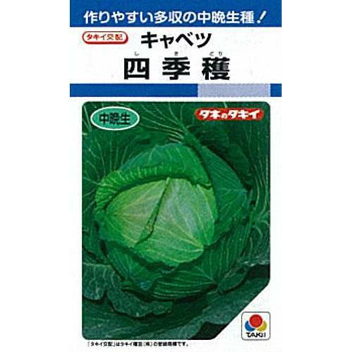 キャベツ 種 【 四季穫 】 小袋 DF ( キャベツの種 ) | 農業屋.com