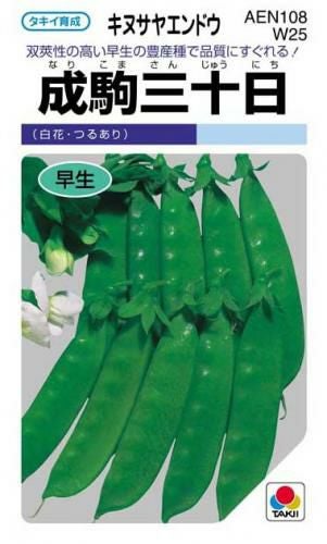 きぬさやエンドウ 種 【 成駒三十日 】 小袋(GF) ( きぬさやエンドウの