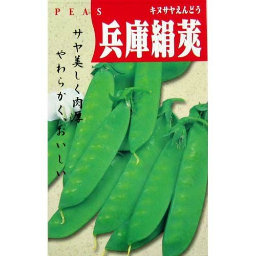 きぬさやエンドウ 種 【兵庫絹莢】 20ml | 農業屋.com