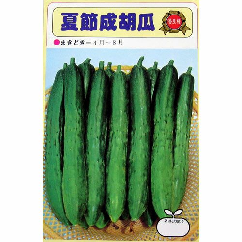 玉ねぎ苗⭕️レッドグラマー２５００本⭕️【野菜苗】【玉葱苗】 玉ねぎ苗 【予約】 【 早生 赤玉ねぎ レッドグラマー 】 約50本