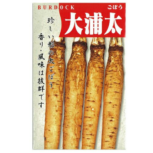 送料無料】【 令和6年産 】【 新米 】 愛知県産 あいちのかおり 玄米 2 送料無料】【 令和6年産 】【 新米 】 愛知県産 あいちのかおり 玄米 2