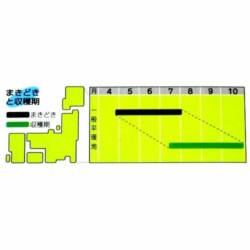 ささげ 種 【 赤種三尺ささげ 】 小袋 ( ささげの種 ) | 農業屋.com