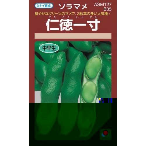そら豆 種 【 仁徳一寸 】 小袋 RF ( そら豆の種 ) | 農業屋.com