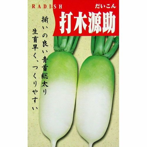 大根 種 【打木源助】 8ml | 農業屋.com